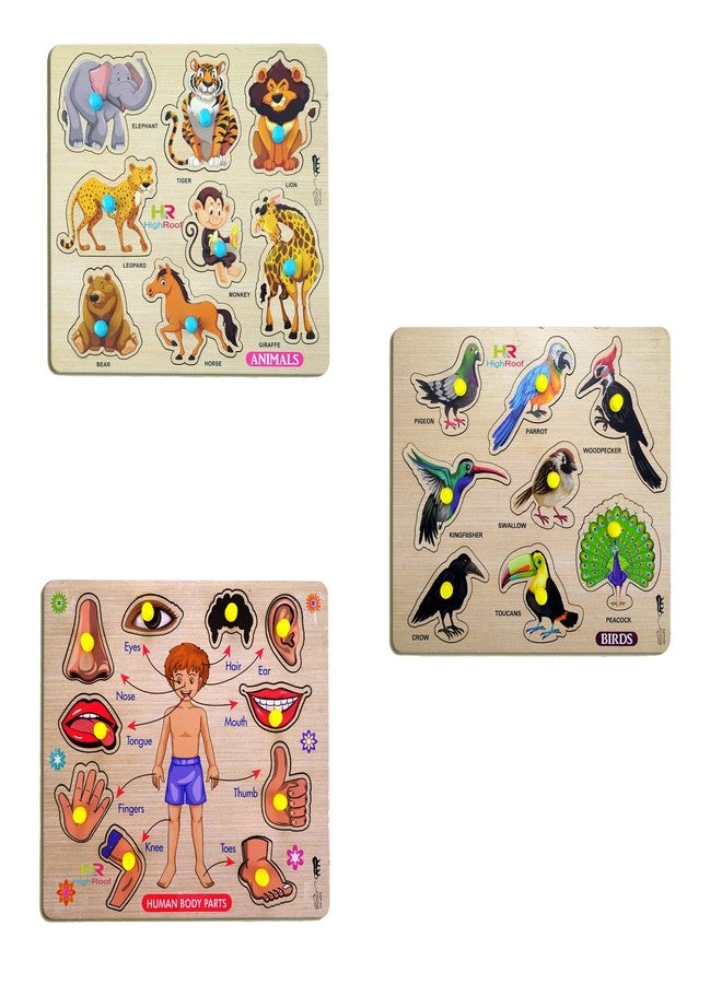 HIGHROOF® Kids Fort Pre Nursery Educational Jigsaw Puzzles for Adults Kids Learning Toys Kit Board Game 3 pcs Set of Animals Birds & Human Body Parts Educational Toy - Image 1